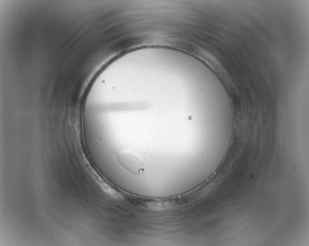 X0000067500804200604071225