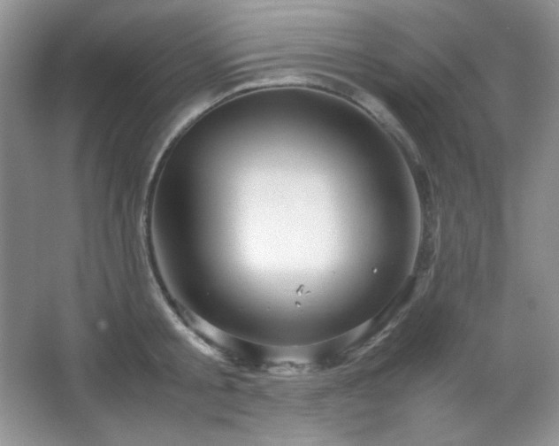 X0000067500805200604071225