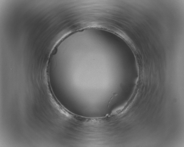 X0000067500806200604071225