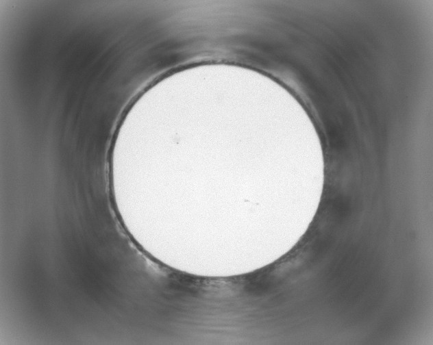 X0000067500807200604071225