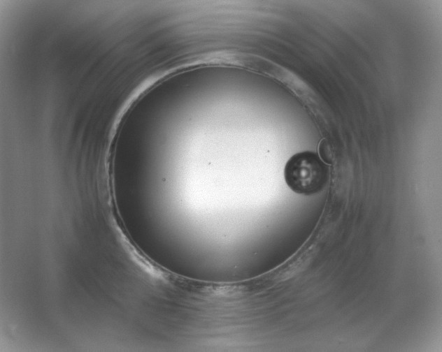 X0000067500808200604071225