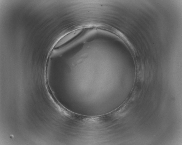 X0000067500810200604071225