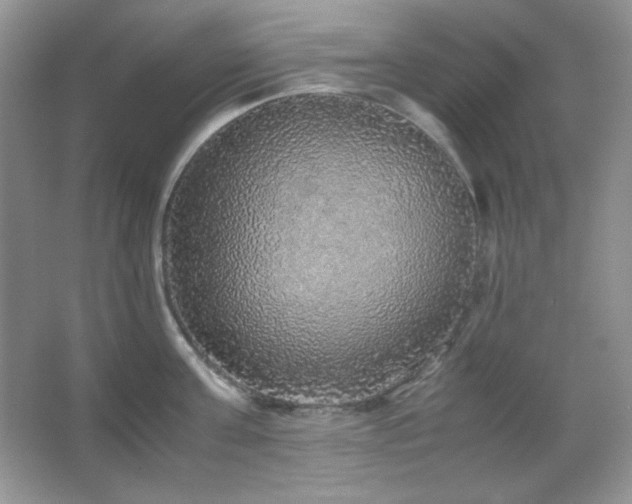 X0000067500811200604071225