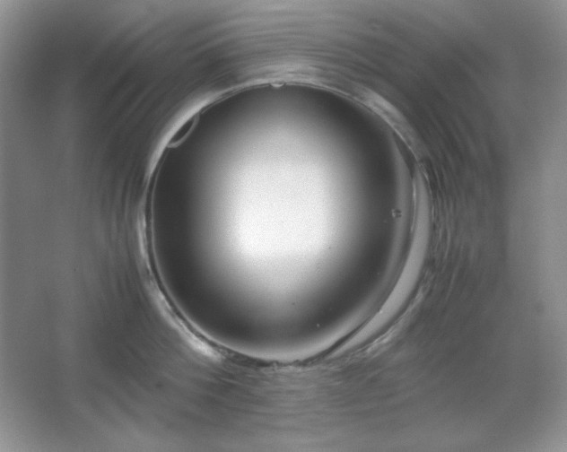 X0000067500812200604071225