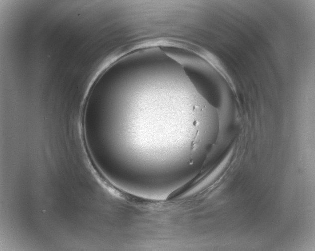 X0000067500813200604071225