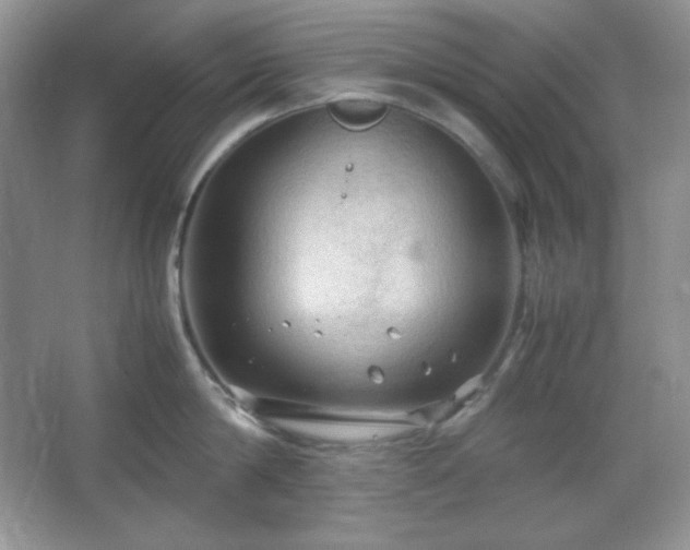 X0000067500814200604071224