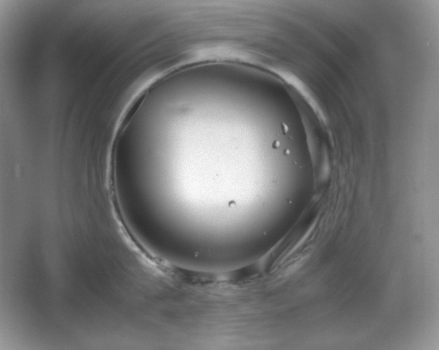 X0000067500815200604071224