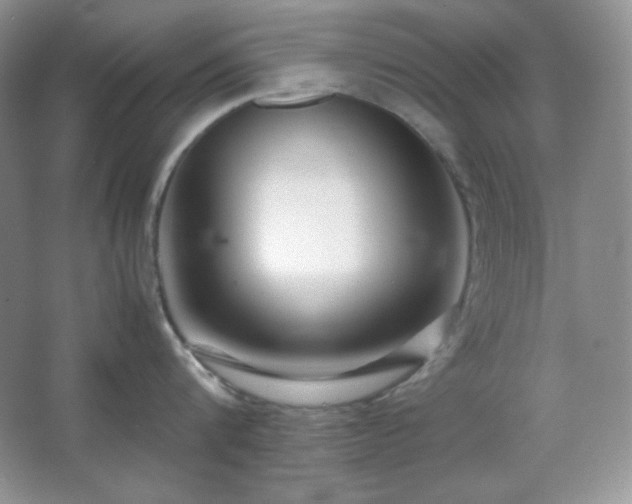 X0000067500816200604071224