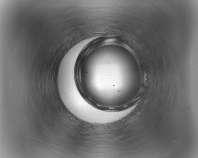 X0000067500818200604071224