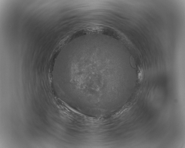 X0000067500819200604071224