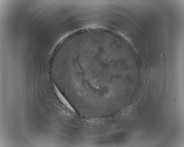 X0000067500823200604071224