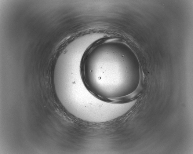 X0000067500824200604071224