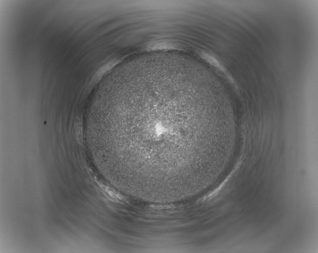 X0000067500825200604071224