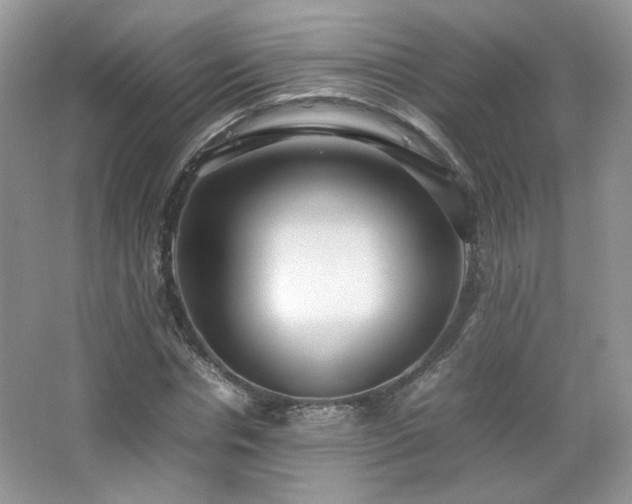 X0000067500826200604071224