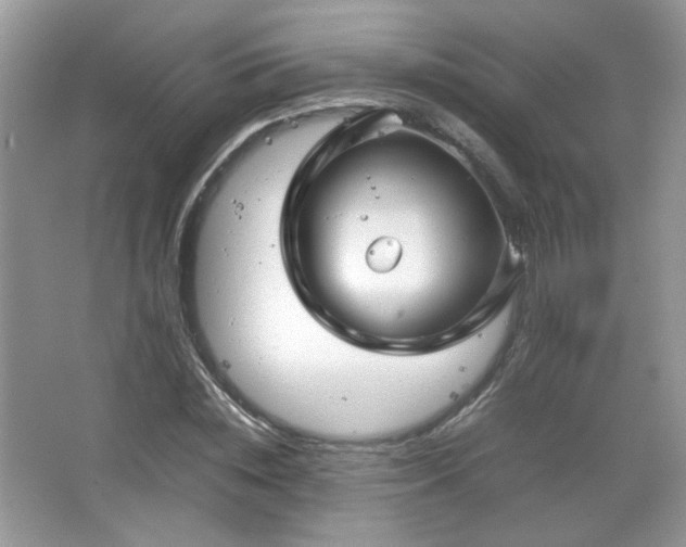 X0000067500828200604071224