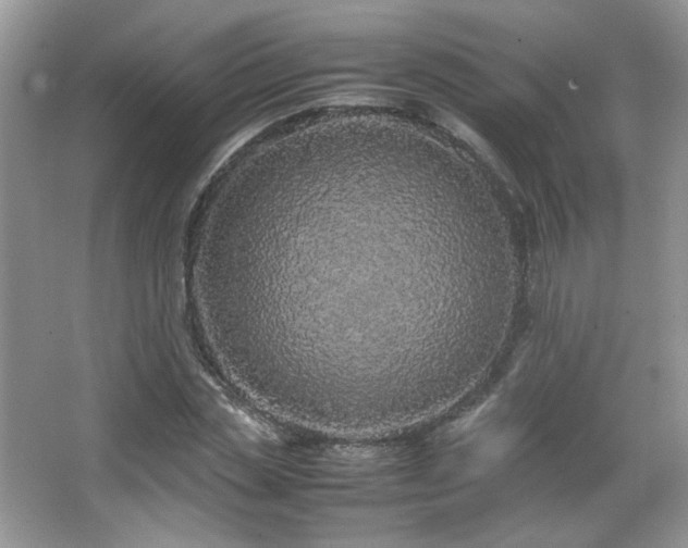 X0000067500829200604071224