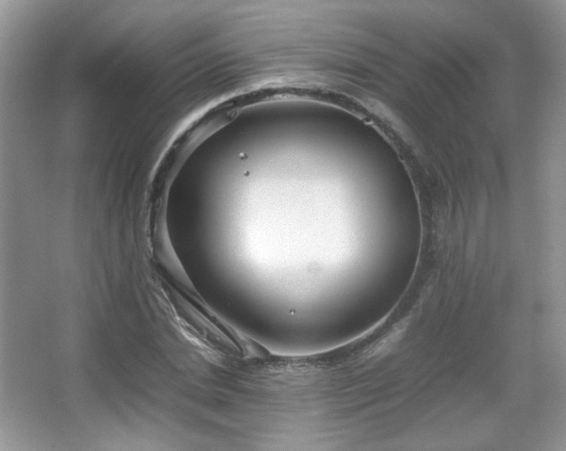 X0000067500830200604071224