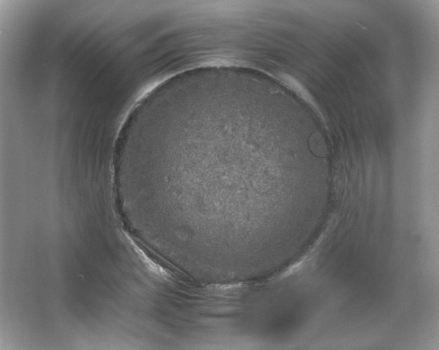 X0000067500831200604071224