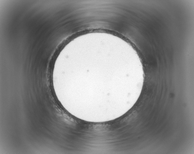 X0000067500832200604071224