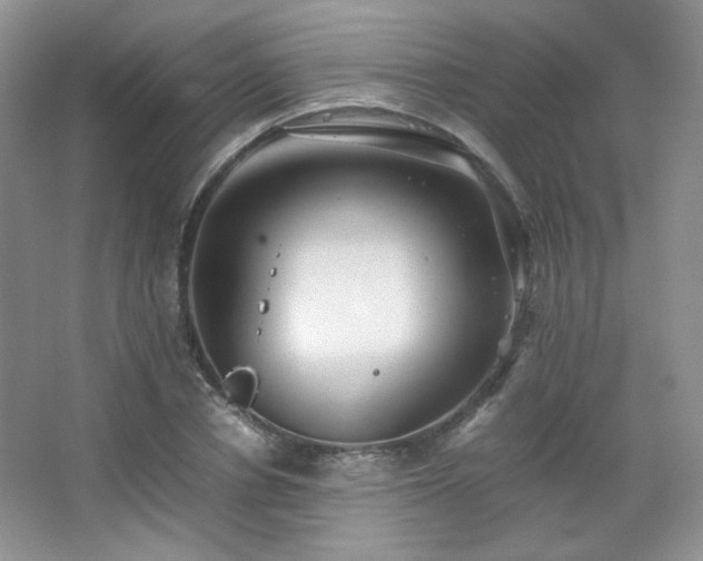 X0000067500834200604071224