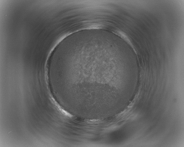 X0000067500835200604071224