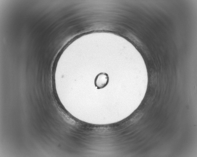 X0000067500836200604071224