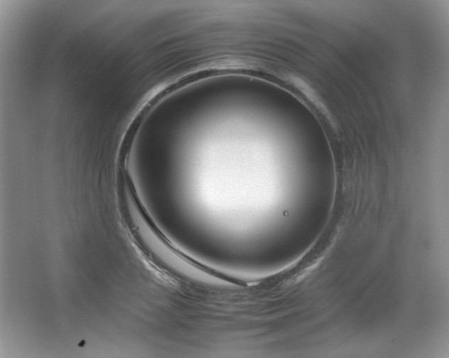 X0000067500837200604071224