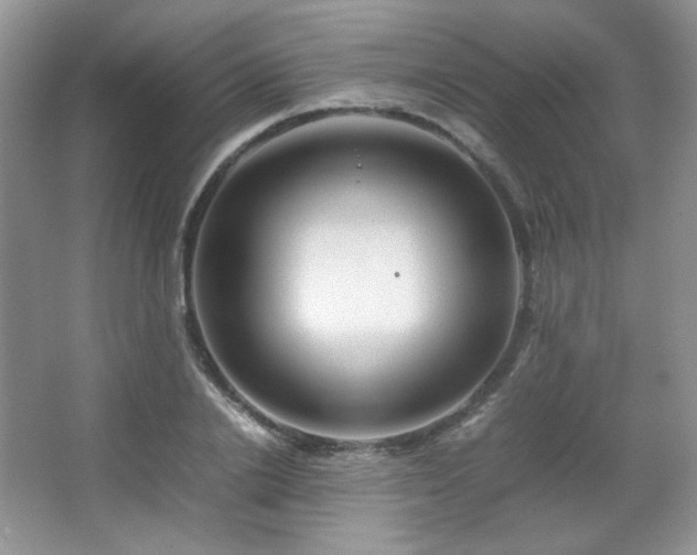 X0000067500838200604071224