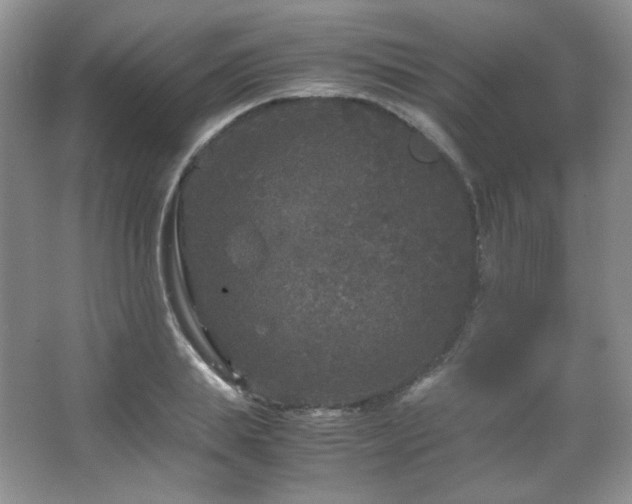 X0000067500839200604071224