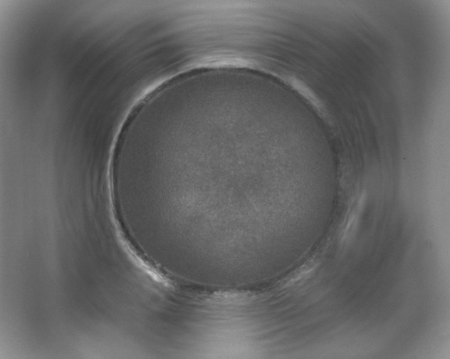 X0000067500840200604071224