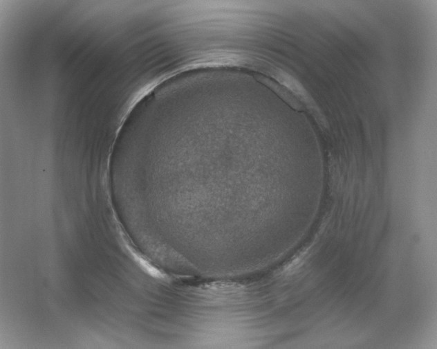 X0000067500842200604071224