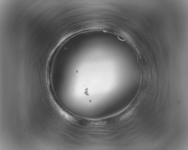 X0000067500843200604071224