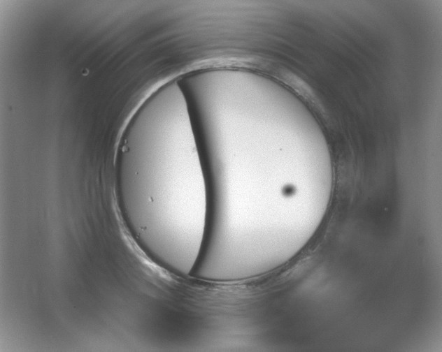 X0000067500844200604071224