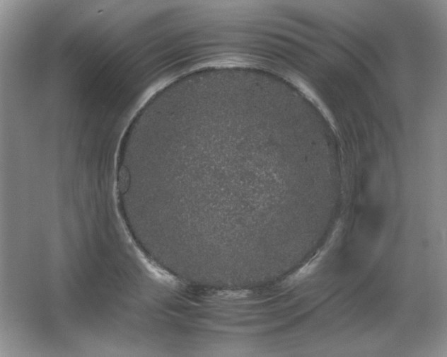 X0000067500845200604071224