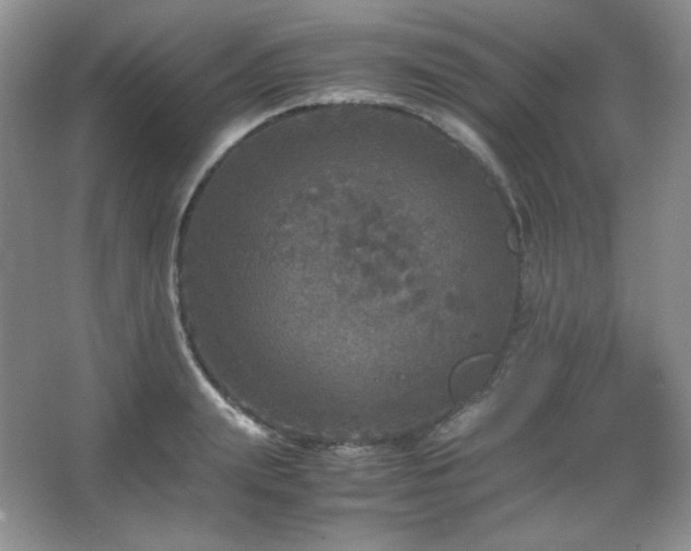 X0000067500847200604071224