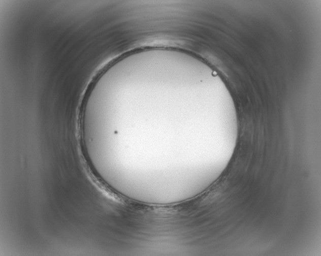 X0000067500848200604071224