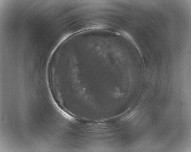 X0000067500851200604071224