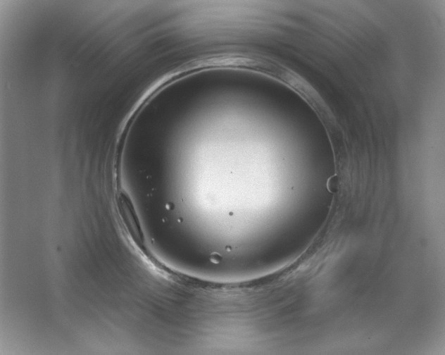 X0000067500852200604071224