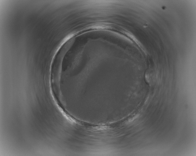 X0000067500853200604071224