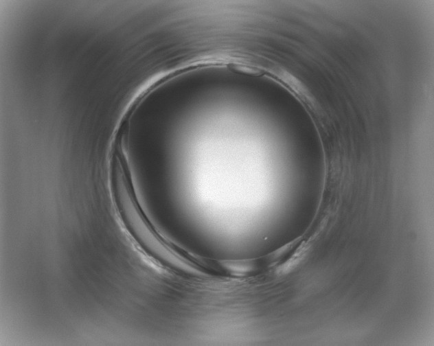 X0000067500854200604071224