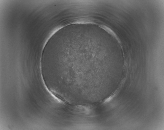 X0000067500855200604071224