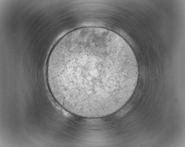 X0000067500856200604071224