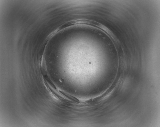 X0000067500857200604071224