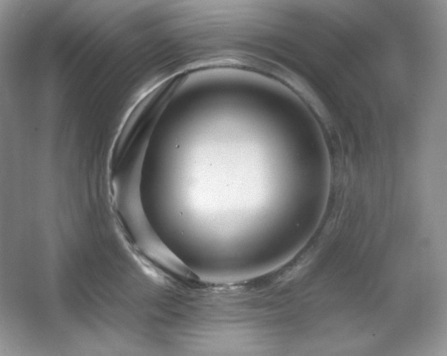 X0000067500858200604071224