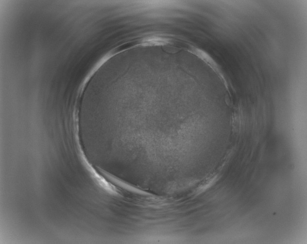 X0000067500859200604071224