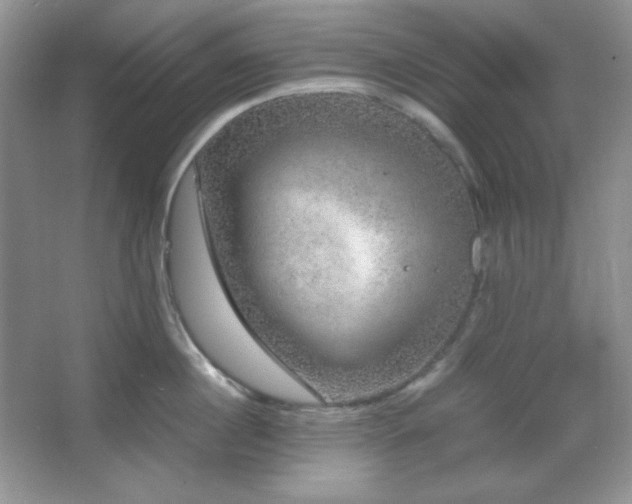 X0000067500860200604071224