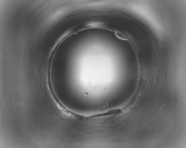 X0000067500861200604071224