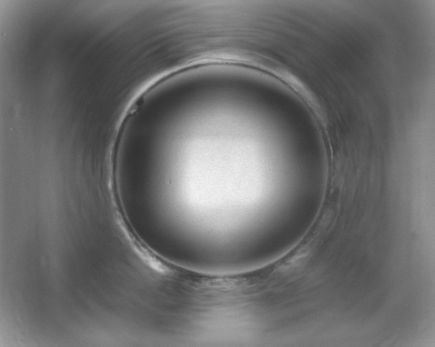 X0000067500862200604071224