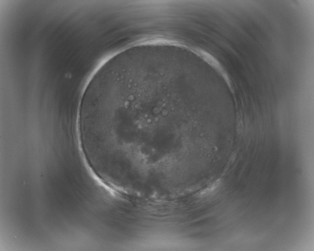 X0000067500863200604071224