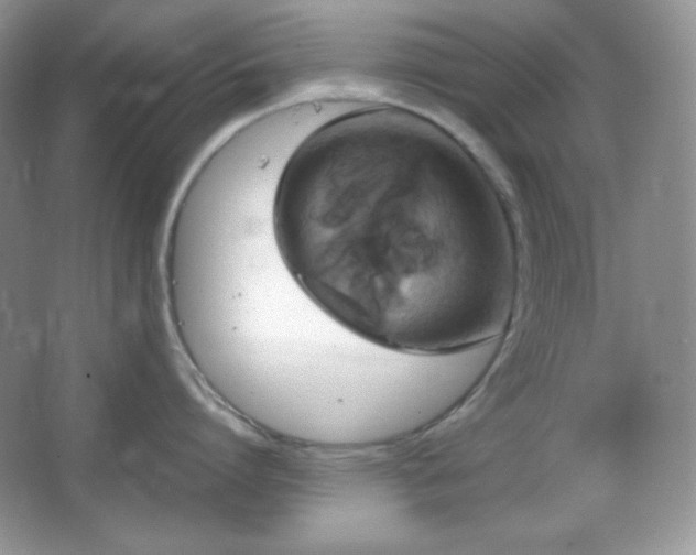 X0000067500864200604071224